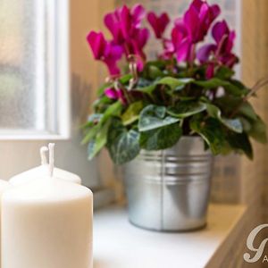 Appartement met Twee Slaapkamers